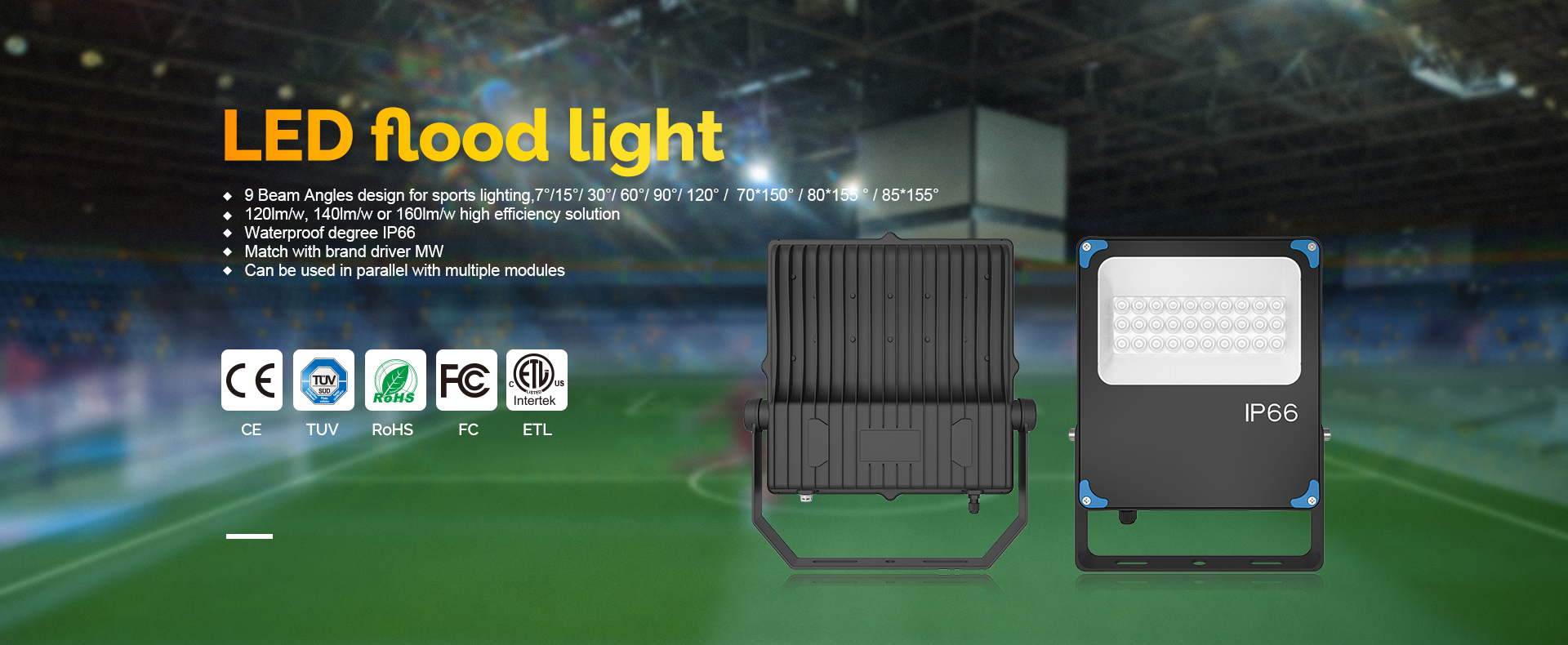 LED Flood Light