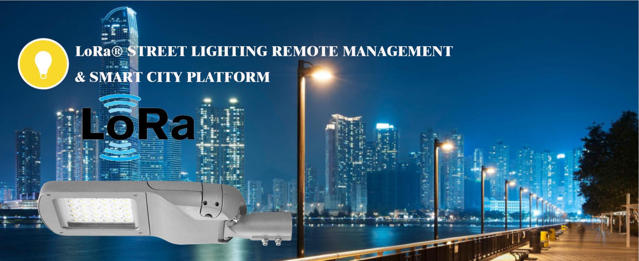 4G Smart LoRa_ LED Street Light